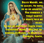 Dulce Madre Prayer GIF - Dulce Madre Prayer Virgin Mary GIFs