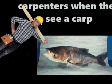 Carpenter Entering GIF - Carpenter Carp Entering GIFs