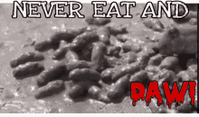 Never Eat GIF - Never Eat Dawi GIFs