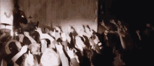 Concert Party GIF - Concert Party Crowded GIFs
