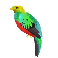 a colorful bird with red and green feathers and a yellow head
