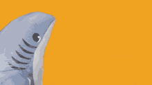 Stickergiant Whats Going On GIF - Stickergiant Whats Going On Shark GIFs
