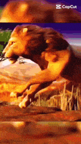 a lion is jumping in the air with its mouth open in a painting .