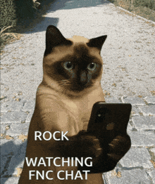 a cat holding a cell phone with the words rock watching fnc chat