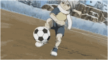 inazuma eleven power kick ball anime