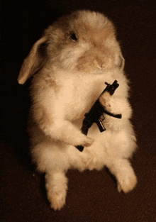 a fluffy rabbit is holding a small toy gun