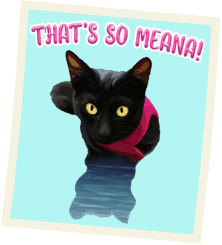Photo Cat Cat Photo Sticker