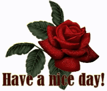 Have A Nice Day आपका GIF - Have A Nice Day आपका दिन GIFs