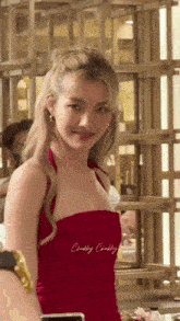 a woman in a red dress with the word chubby written on it