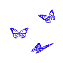 borboletas flapping