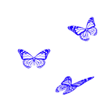 Borboletas Butterfly Sticker - Borboletas Butterfly Flapping Wings Stickers