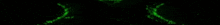 it looks like a green flame on a black background that is moving .