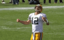 Ryan Dissapointed GIF - Ryan Dissapointed Aaronrodgers GIFs