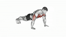 a man is doing push ups with muscles highlighted