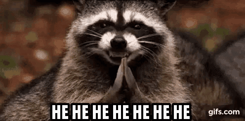 hahahahahahaha hahahahahaha - Evil Plotting Raccoon