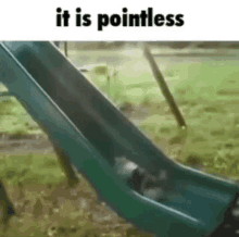 Cat It Is Pointless GIF