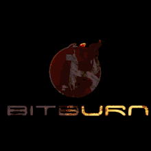 Ethereum Bitburn GIF - Ethereum Bitburn Doge GIFs