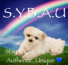 s.y.b.a.u. stay young beautiful authentic unique with a picture of a puppy