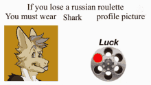 roulette roulette wheel profile picture shark furry