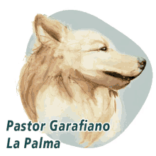 La Palma Pastor Garafiano GIF - La Palma Pastor Garafiano Canary Islands GIFs