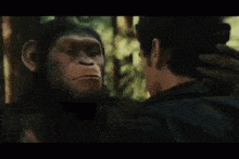 a man and a monkey are looking at each other in the woods