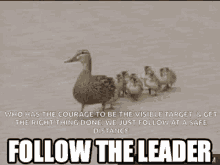 Follow The GIF - Follow The Leader GIFs
