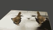 Chicken Cat GIF - Chicken Cat Lego GIFs