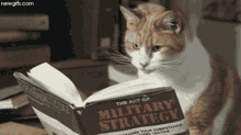 Membaca Reading GIF - Membaca Reading Military Strategy GIFs