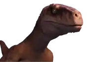 a close up of a dinosaur 's head and neck with a white background