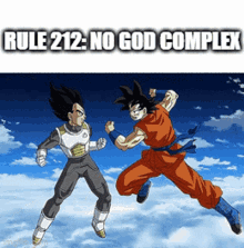 rule212 rule212no god complex goku rule212 goku rule no god complex