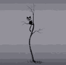 Kunt Black Kunt GIF - Kunt Black Kunt Up A Tree Kunt GIFs