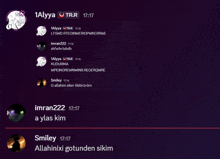 a screenshot of a conversation between 1allya and smiley at 17:17
