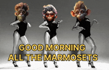 Gm Good Morning GIF - Gm Good Morning Marmosetclub GIFs