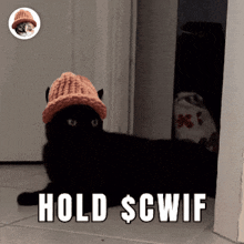 Cwif Cwif Hold GIF - Cwif Cwif Hold Catwifhat GIFs