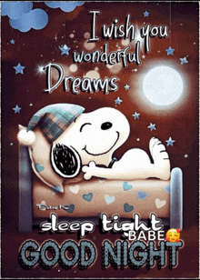 a picture of snoopy laying in bed with the words " i wish you wonderful dreams sleep tight babe good night "