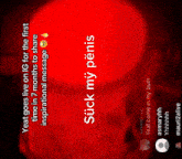 a red background with the words " suck my penis " on it