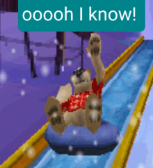 Polar Bowler Polar Bear GIF - Polar Bowler Polar Bear Oooh I Know GIFs