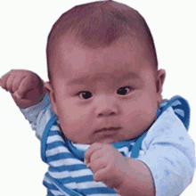 Baby Eyebrows GIF - Baby Eyebrows Or What GIFs