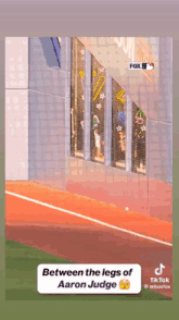 between the legs of aaron judge is written on a tiktok video