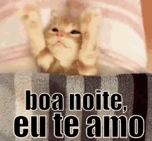 Gatinho / Boa Noite, Eu Te Amo / Beijo / Namorados / Amor GIF - Cat Good Night I Love You Night Sky GIFs