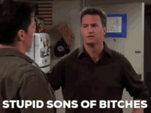 Friends Chandler GIF - Friends Chandler Stupid Sons Of Bitches GIFs