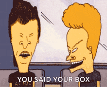 two beavis and butthead cartoon characters with the words you said your box below them