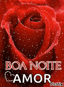 rose boa