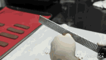 a person is grating something with a grater and the words made in animatica are on the bottom