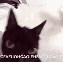 Join Motive1 Cat GIF - Join Motive1 Cat GIFs