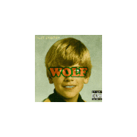 a young boy with wolf written on his face