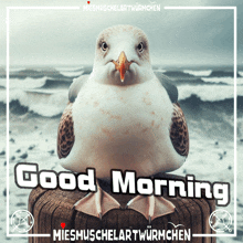 a seagull is sitting on a wooden post with the words good morning on it