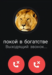 a picture of a lion in a circle with the words " покой в богатстве " below it