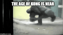 Age Of Kong GIF - Age Of Kong GIFs