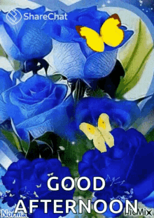 Good Afternoon Blue Roses GIF - Good Afternoon Blue Roses Yellow Butterfly GIFs
